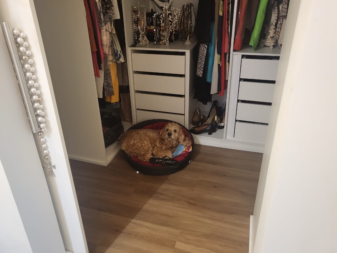 WhatsApp Image 2025-10-29 at 18.18.04 (1)